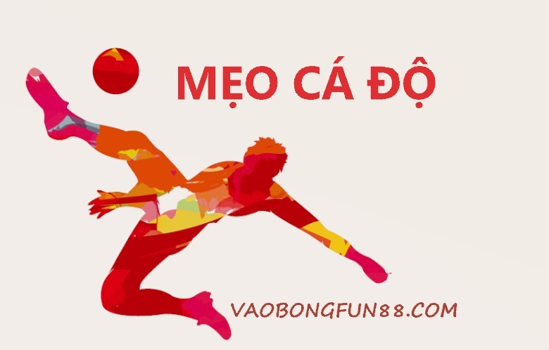 ca do bong da