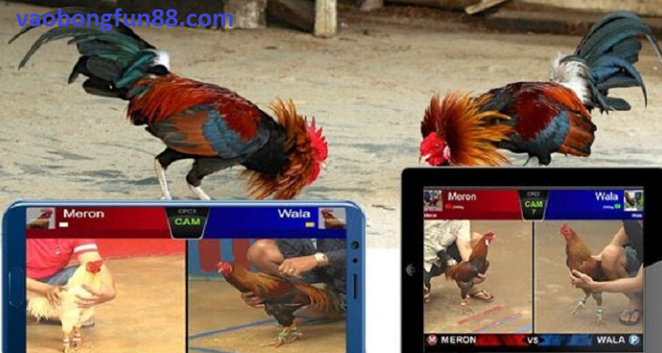 Screenshot 29
